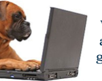 3 Reasons You Don’t See Your Grades Yet 3 Reasons You Don’t See Your Grades Yet