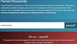 Screenshot from Pwned Passwords