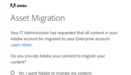 Adobe Asset Migration window zoomed in